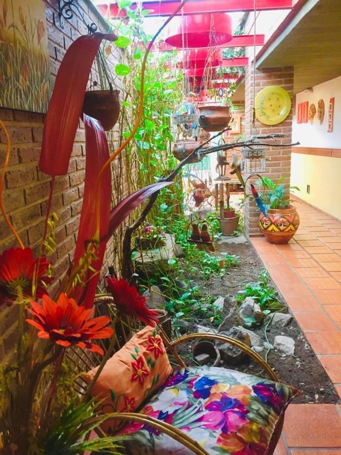 Hotel Costa Azul Cassaffousth エクステリア 写真